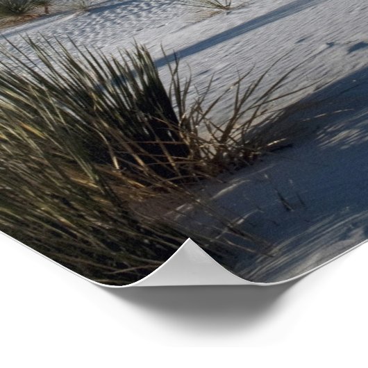 Dronken en Soaptree Yucca Poster (Hoek)