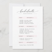 Dronken in Love Whimsy Script Bachelorette Weekend Kaart (Achterkant)