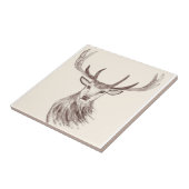 Droog bosgebied  zwarte bijtend tegeltje (Zijkant)