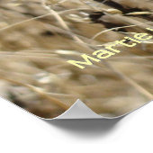 droog gras poster (Hoek)