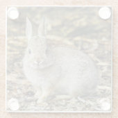 Droog katoenstaartglas Onderzetter (Achterkant)