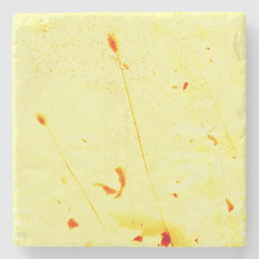 Droog onderzetter voor papaver (Voorkant)