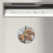 Droog paardeblad magneet (Insitu (Vaatwasser))
