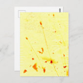 Droog papaver briefkaart (Voorkant / Achterkant)