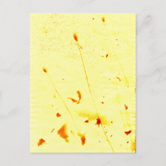 Droog papaver briefkaart (Voorkant)