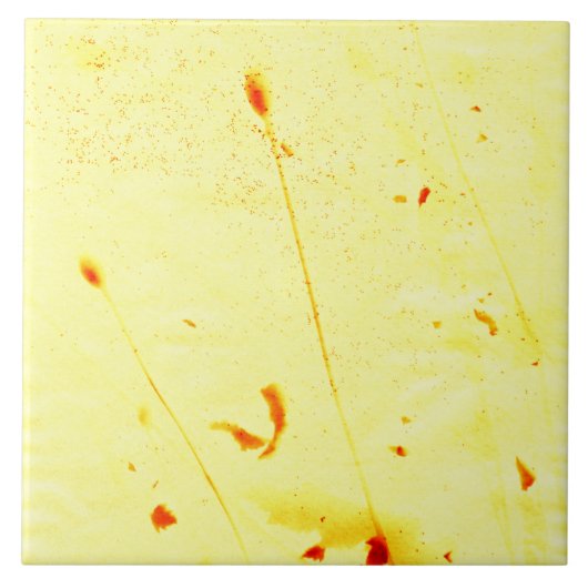 Droog papaver tegeltje (Voorkant)