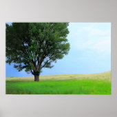 Droog Storm over Oklahoma Grasslands III (Kol Sat) Poster (Voorkant)