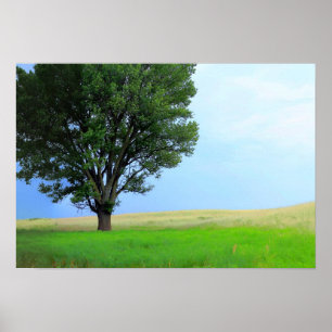 Droog Storm over Oklahoma Grasslands III (Kol Sat) Poster