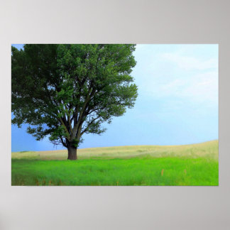 Droog Storm over Oklahoma Grasslands III (Kol Sat) Poster