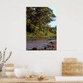 droogmeer poster (Keuken)