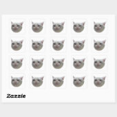 Droogmme Cat Vierkante Sticker (Vel)