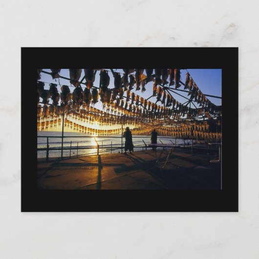 Droogplein Briefkaart (Voorkant)