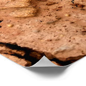 Droogte bodem op aarde poster (Hoek)