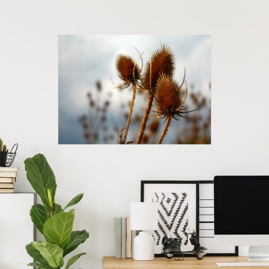 droogteflessen poster (Thuiskantoor)