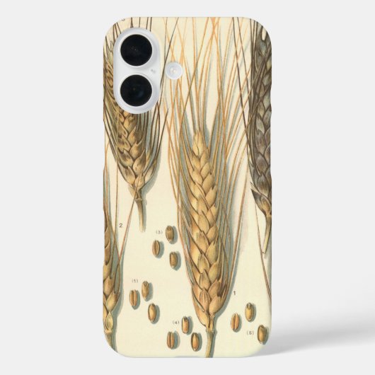 Droogteresistente tarweplant, vintage landbouw Case-Mate iPhone case (Achterkant)