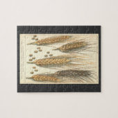 Droogteresistente tarweplant, vintage landbouw legpuzzel (Horizontaal)