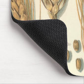 Droogteresistente tarweplant, vintage landbouw muismat (Hoek)