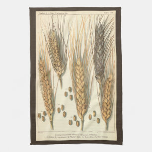 Droogteresistente tarweplant, vintage landbouw theedoek