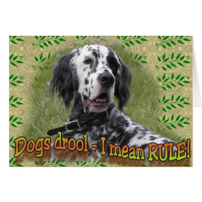 drool of RULE (Voorkant Horizontaal)