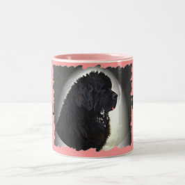 Drool Rules Newf-Mok Tweekleurige Koffiemok