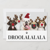 Droolalala Dog Kerstmis 5-fotokaart Kaart (Voorkant)