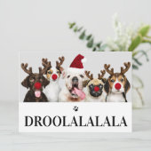 Droolalala Dog Kerstmis 5-fotokaart Kaart (Staand voorkant)