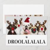 Droolalala Dog Kerstmis 5-fotokaart Kaart (Voorkant / Achterkant)