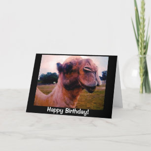 Drooling Camel Birthday Greeting Kaart