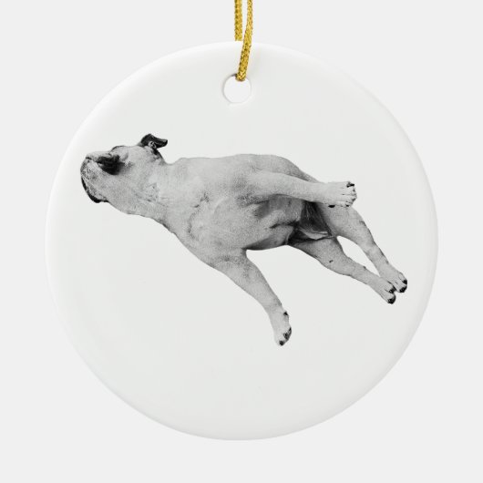 Droom aan de tak keramisch ornament (Voorkant)