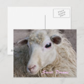 Droom ansichtkaart briefkaart (Voorkant / Achterkant)