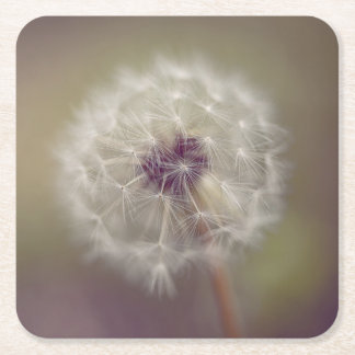 Droom Dandelion Kunst Papier Coasters 01 Kartonnen Onderzetters