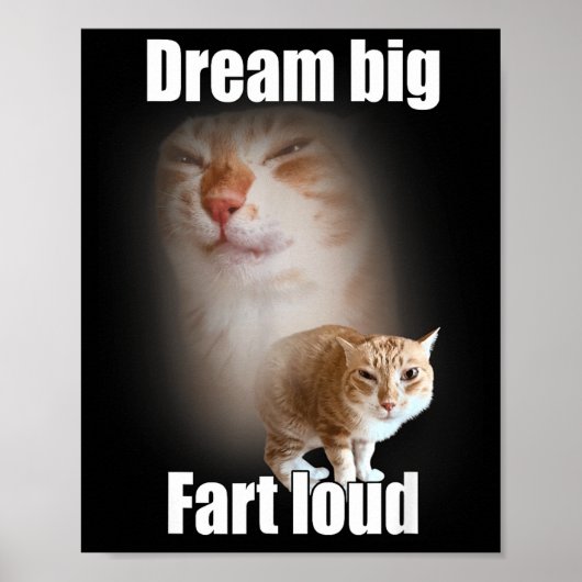 Droom groot harde scheet kat meme grappige uitdruk poster (Voorkant)