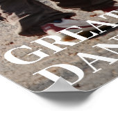 Droom groot, kleintje, met je Great Dane Poster (Hoek)