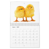 Droom Grote Kalender (Mar 2027)