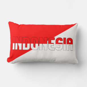 Droom in kleur met de Indonesische patriottische v Kussen