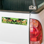 Droom Team Bumpersticker (Op Truck)
