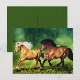 Droom Team-IJslandse Paarden Briefkaart