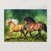 Droom Team-IJslandse Paarden Briefkaart (Voorkant)