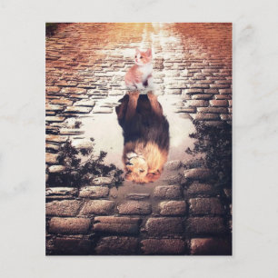Droom van een katachtige leeuw, leuk katten cadeau flyer