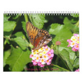 Droom van tuinen 2011 Agenda Kalender (Hoes)