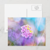 Droombloem Briefkaart (Voorkant / Achterkant)