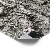 Droomboom Poster (Hoek)