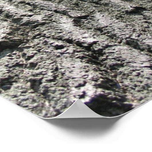 Droomboom Poster (Hoek)