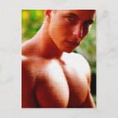 Droomborst Briefkaart (Voorkant)