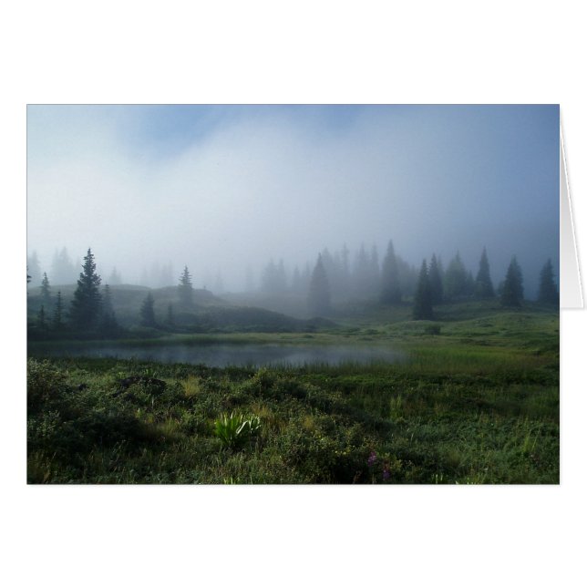 Droomdag (Voorkant Horizontaal)