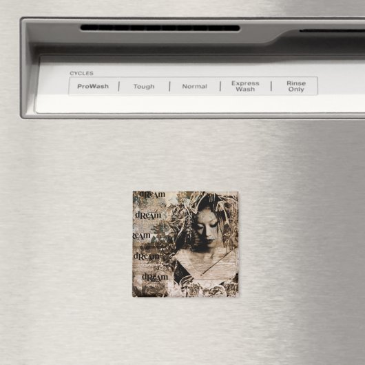 droomdroom magneet (Insitu (Vaatwasser))