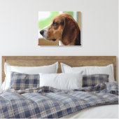 Droomende Beagle Canvas Afdruk (Insitu (Slaapkamer))