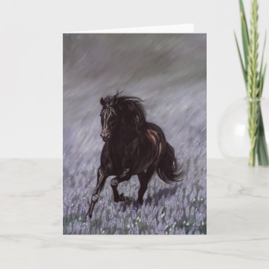 Droomgebied Kaart (Voorkant)