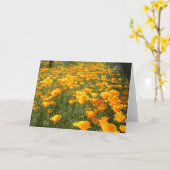 Droomgebied Kaart (Gele Bloem)