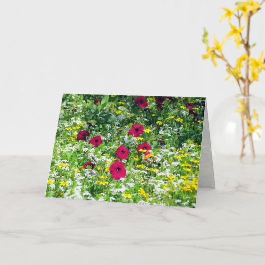 Droomgebied Kaart (Gele Bloem)